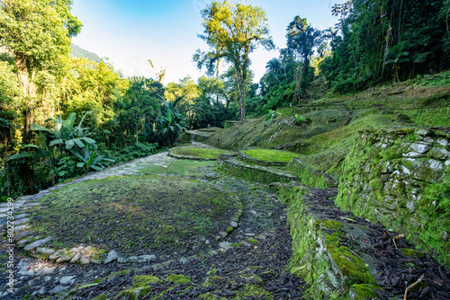Hidden ancient ruins of Tayrona civilization Ciudad Perdida in the heart of the Colombian jungle Lost city of Teyuna. Santa Marta, Sierra Nevada mountains, Colombia wilderness photo