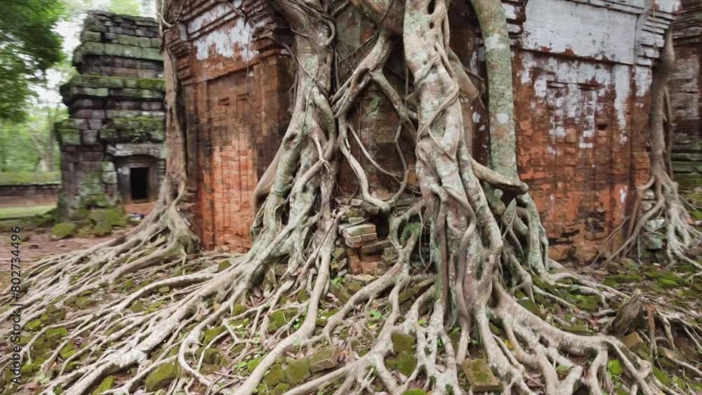 Ancient brick tower at Koh Ker Temple, Cambodia overgrown by jungle Ancient brick tower at Koh Ker Temple, Cambodia overgrown by jungle