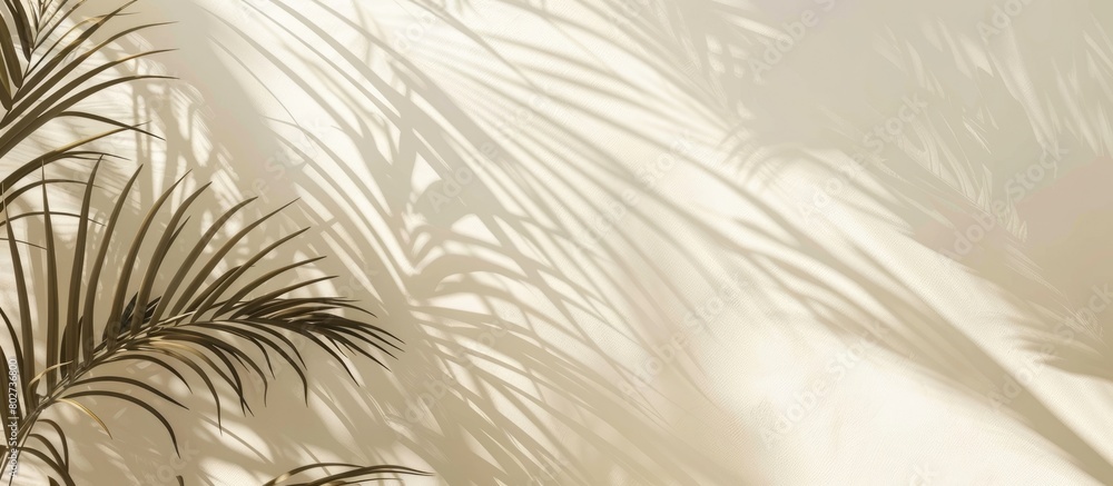 Shadows of palm leaves on a white wall and a cream pastel floor create an abstract background for a creative summer mock-up.