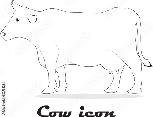 cow silhouettes vector illustration for design.black and white cow