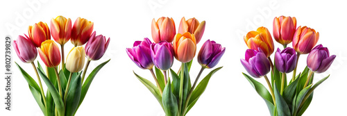 Collection set bunch bouquet pink purple orange mixed stalk of tulip tulips flower floral with leaves arrangement on transparent background cutout  PNG file. Mockup template artwork graphic design