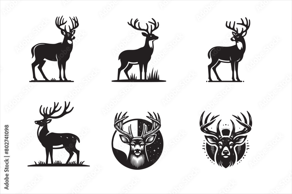 Obraz premium deer, buck, vector illustration