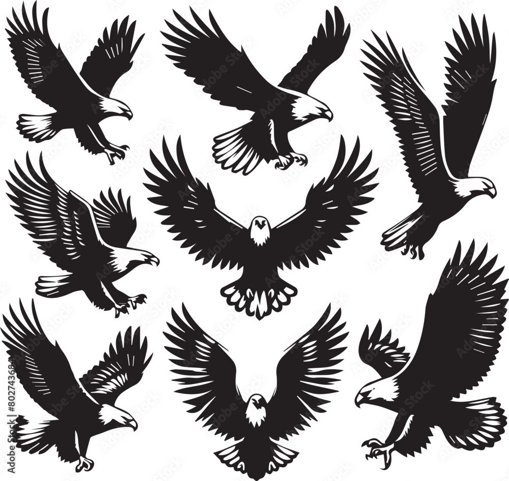Fototapeta premium Eagle silhouette set. Eagle illustration