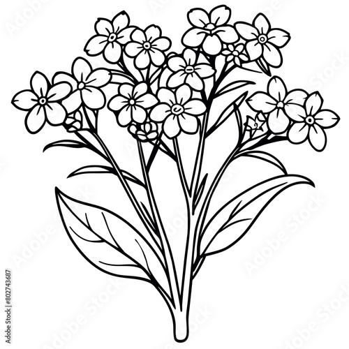 Forget Me Not Flower Bouquet outline illustration coloring book page design, Forget Me Not Flower Bouquet black and white line art drawing coloring book pages for children and adults