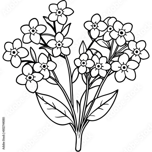 Forget Me Not Flower Bouquet outline illustration coloring book page design, Forget Me Not Flower Bouquet black and white line art drawing coloring book pages for children and adults
