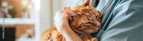 Veterinarian examining an orange cat, professional setting, emphasizing pet health and care services