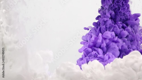 A captivating video of colorful ink with White & Purple drops blossoming into vibrant, swirling clouds as they fall into clear water.