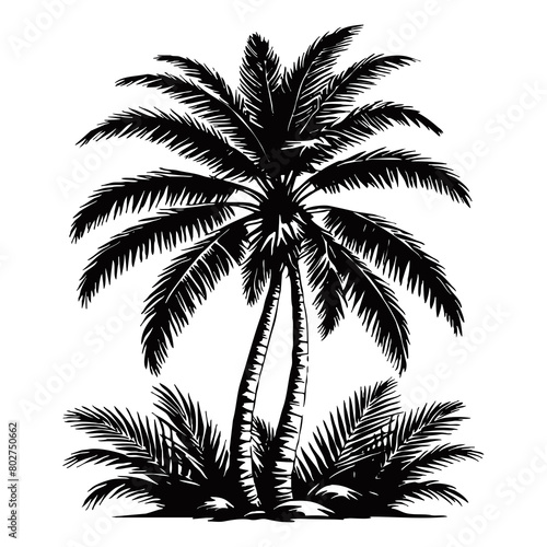 Illustration of a palm tree. Black tropical tree on a white background. Generated by Ai