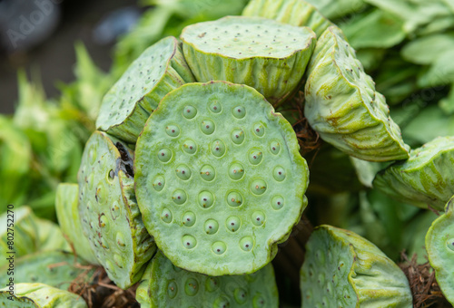 Lotus seeds pods sell on the market