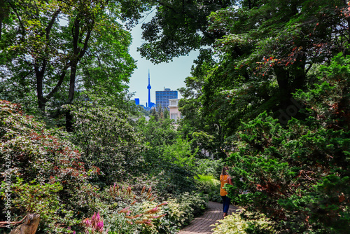 Photography Person in a park with a view of the Toronto skyline through the trees