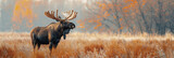Male horned elk moose alces in summer field on forest background close up