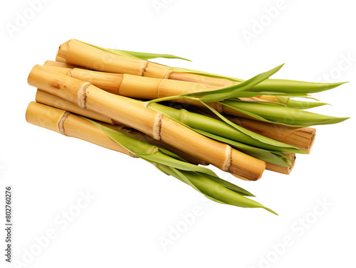 a group of bamboo stalks with leaves