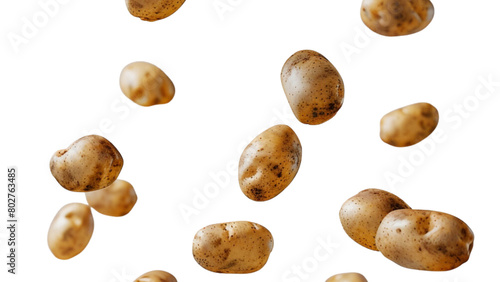 hazelnuts on white background