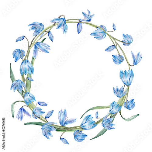 Watercolor spring floral illustration. Flower wreath with blue snowdrops or scillas isolated on white background. Handmade flowers for wedding anniversary invitations ahd postcards. Pastel colours. photo