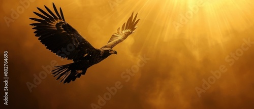 A sleek silhouette of a soaring eagle, illuminated by a soft golden glow, showcases customer ratings in a minimalist style. © 2D_Jungle