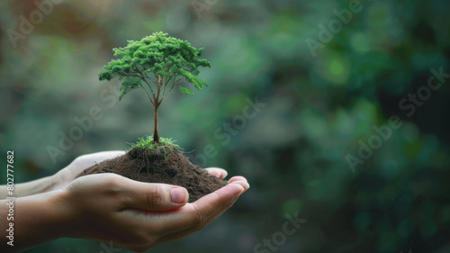 Hand human holding green earth tree ESG