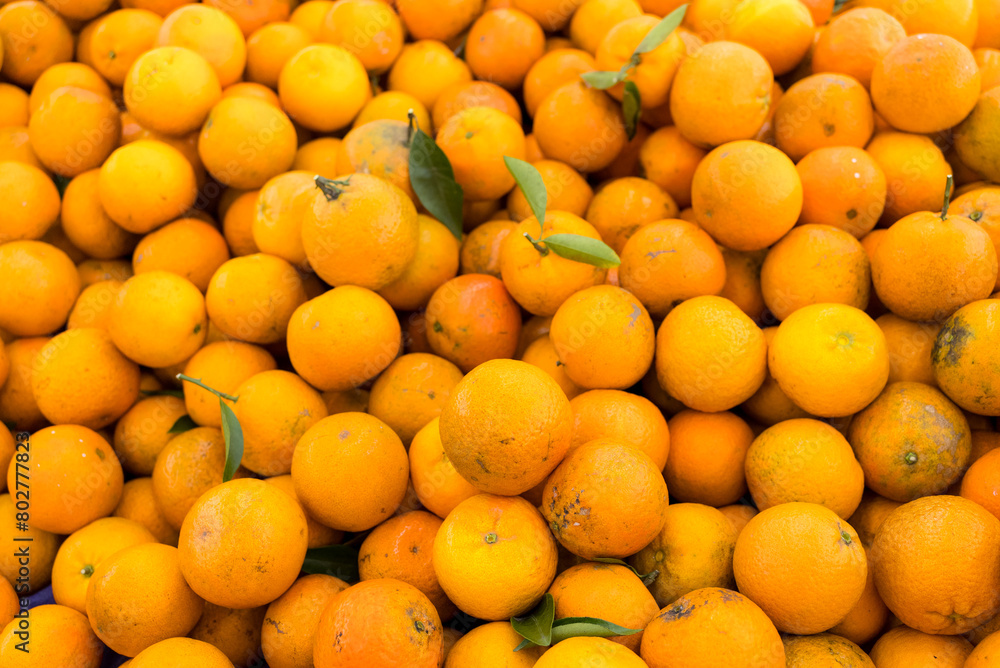 Citrus sell in the fruit store in the market Citrus sell in the fruit store in the market