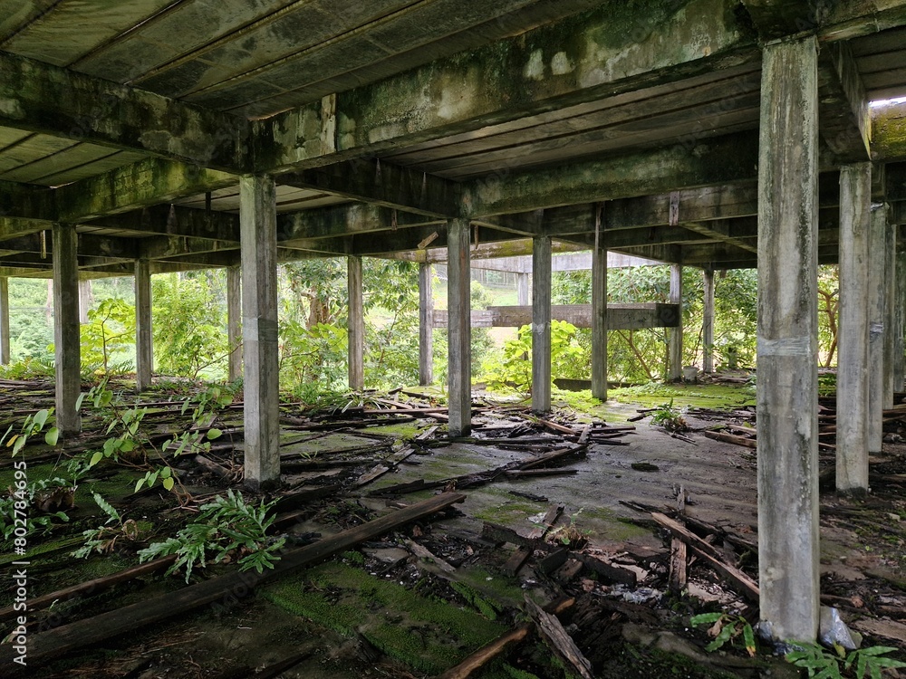 Parking en construction abandonnée dans forêt tropicale