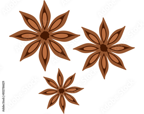 Indian spice - Star Anise