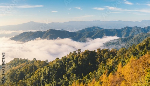 autumn season forest and nature landscape view of mountain background  natural scenery in morning time with fog over the hill  outdoor travel by hiking concept. Generative AI