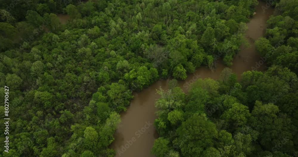 Aerial shot of the meandering Wolf River winding through lush greenery in Collierville, Tennessee, daylight Aerial shot of the meandering Wolf River winding through lush greenery in Collierville, Tennessee, daylight