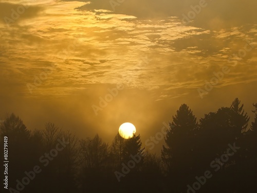 Sonne ruht auf Baumspitze photo