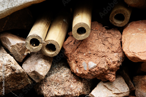 close up detail of a insect or bug hotel or condominium © Ian