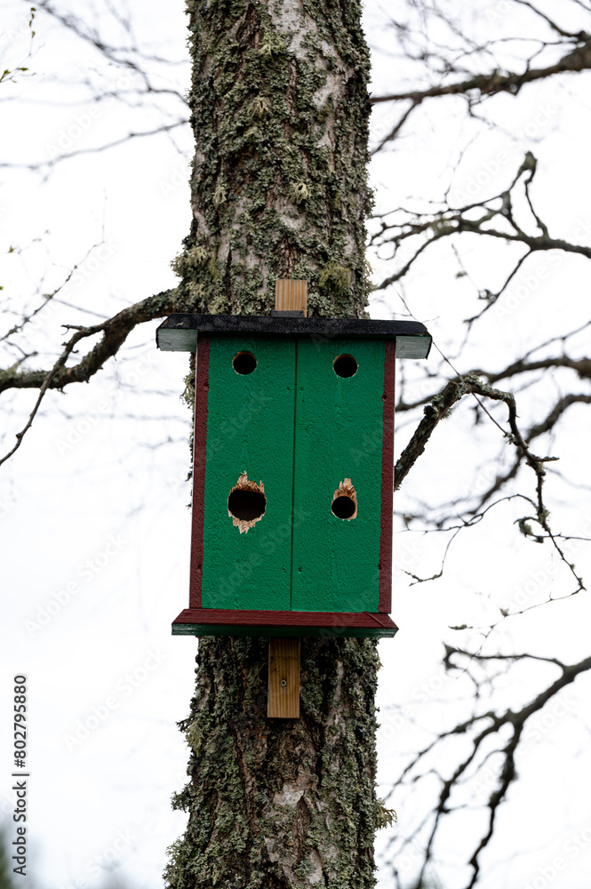 Bird house on tree trunk Kumla Sweden