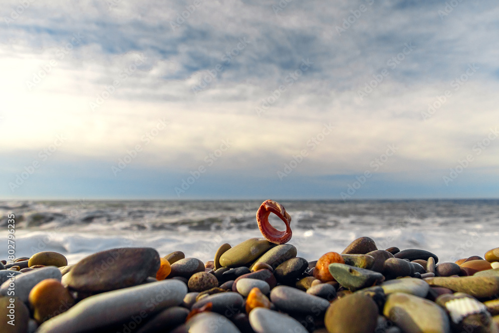 Obraz premium Coastal pebbles. Pebbles on the seashore in close-up. A rocky beach. Stones in close-up with a bokeh effect. Wet pebbles imprinted on the sand on a sunny day. Selective focus.