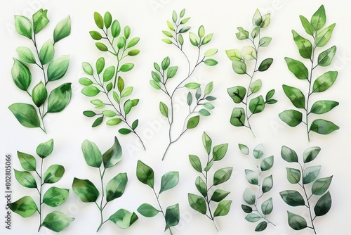 A bunch of green leaves on a white surface. Ideal for nature and botanical concepts