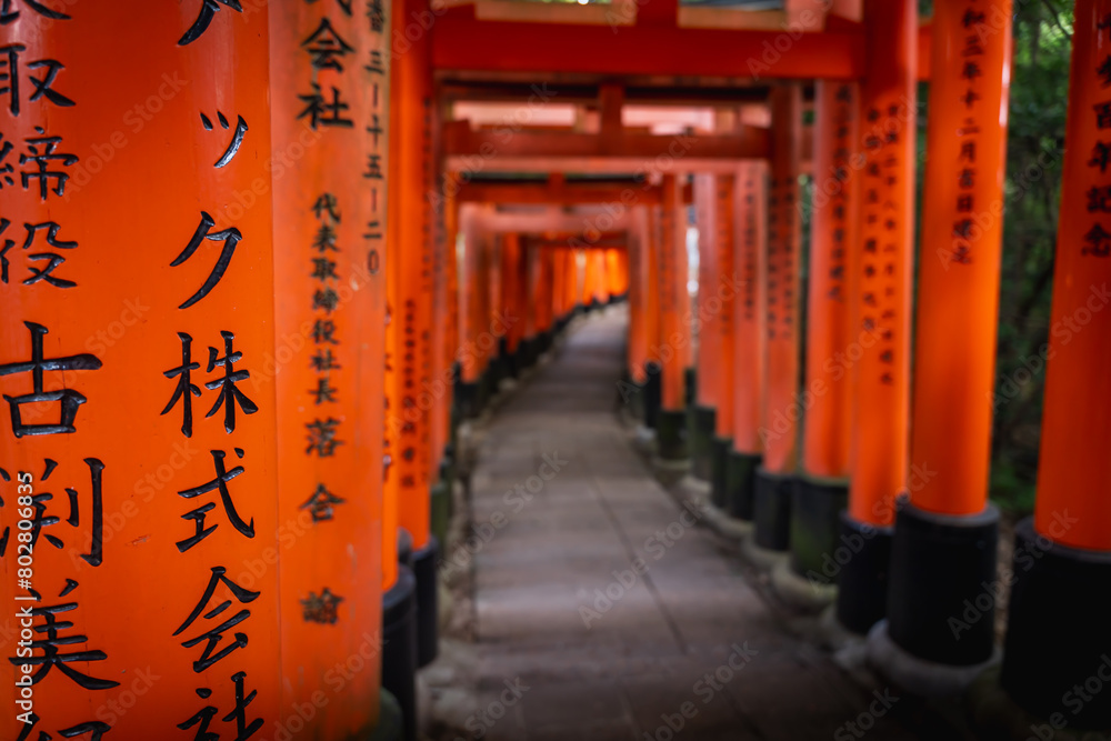 Fushimi inari shrine Fushimi inari shrine