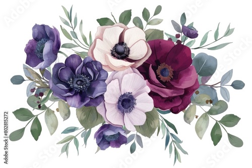 Vibrant purple and white flowers on a clean white background. Perfect for floral design projects #802815272