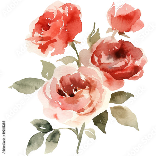watercolor vintage rose flower arrangement (ID: 802815295)