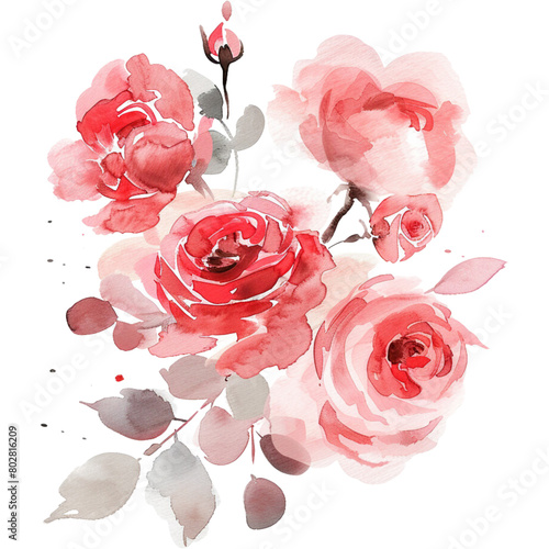 watercolor vintage rose flower arrangement (ID: 802816209)