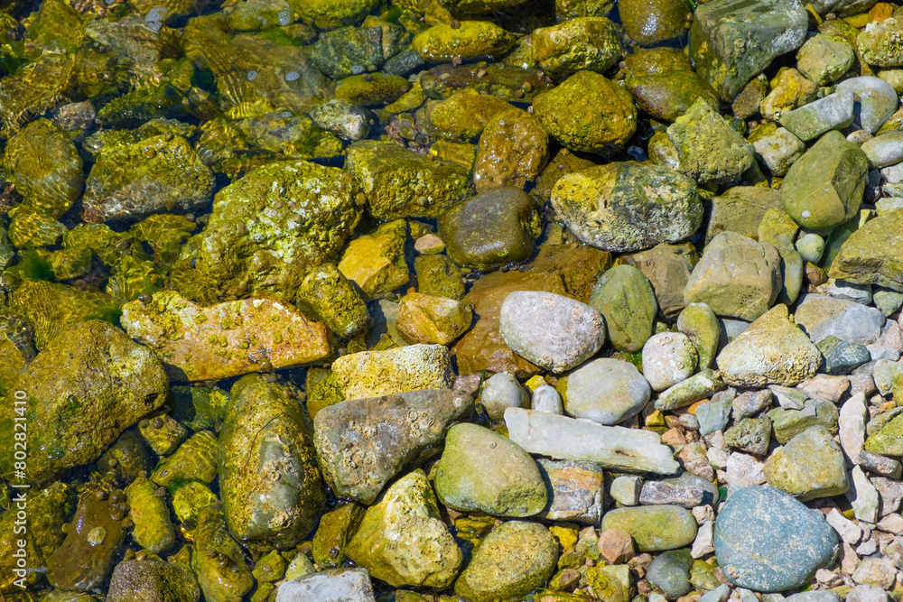 Stones on the beach