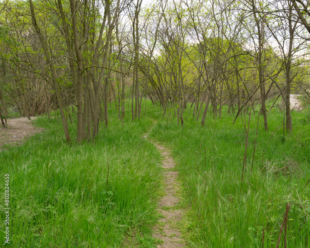 Obraz premium Walking paths near town, verona
