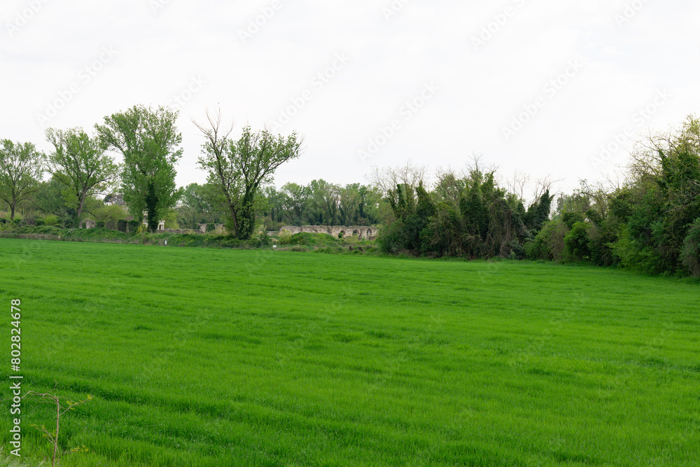 Walking paths near town, verona