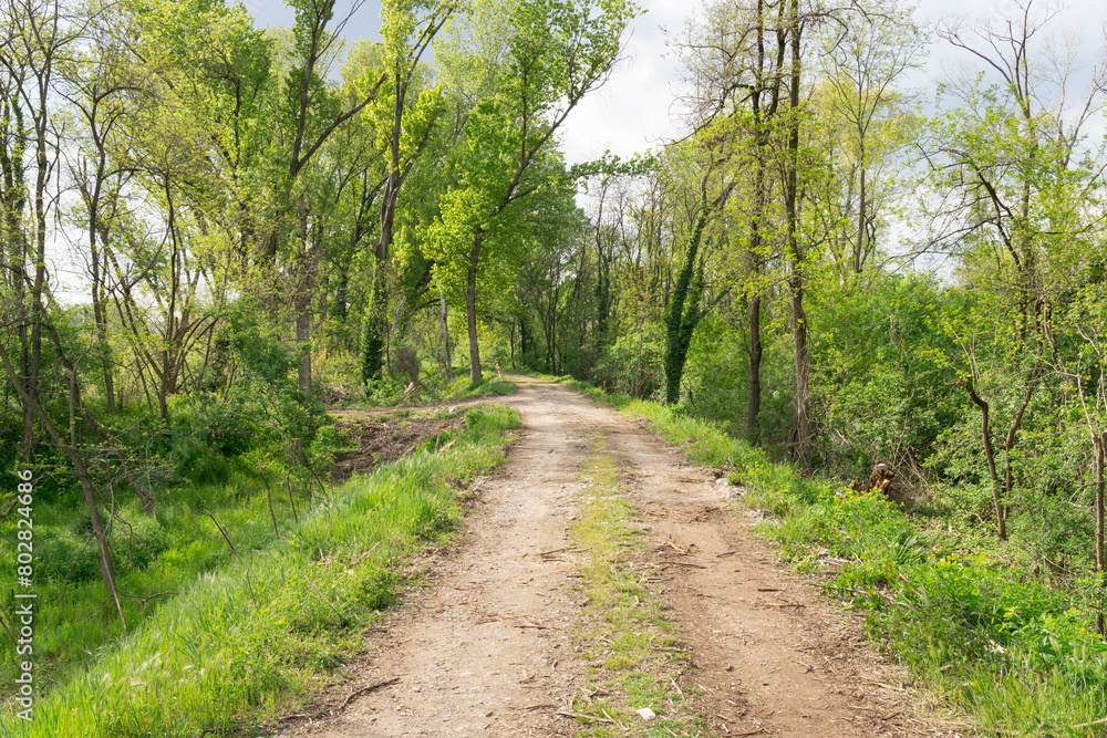 Fototapeta premium Walking paths near town, verona