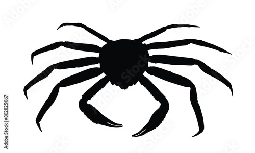 Silhouette of a large sea crab.