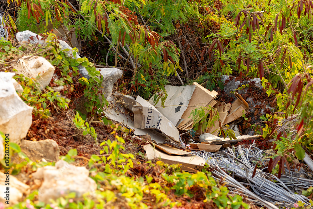 Obraz premium pollution cartons boxes dumped bushland