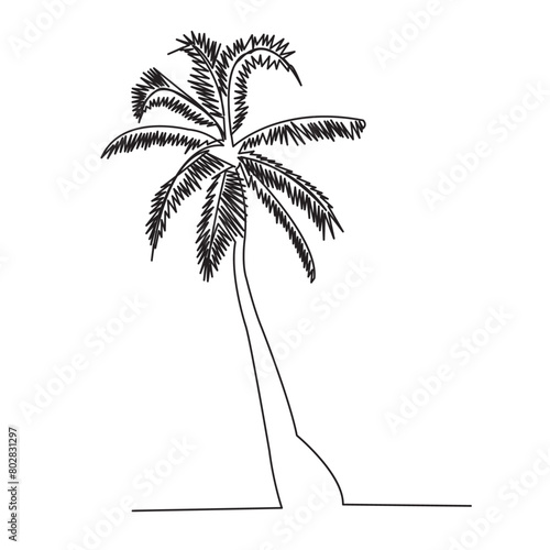 palm