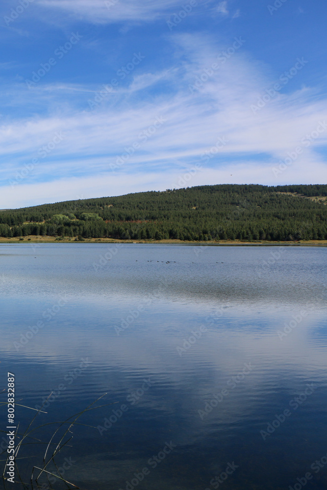 Lake reflection 