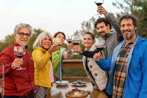 Cheerful Friends Toasting Wine Outdoors - Celebration (ID: 802844440)
