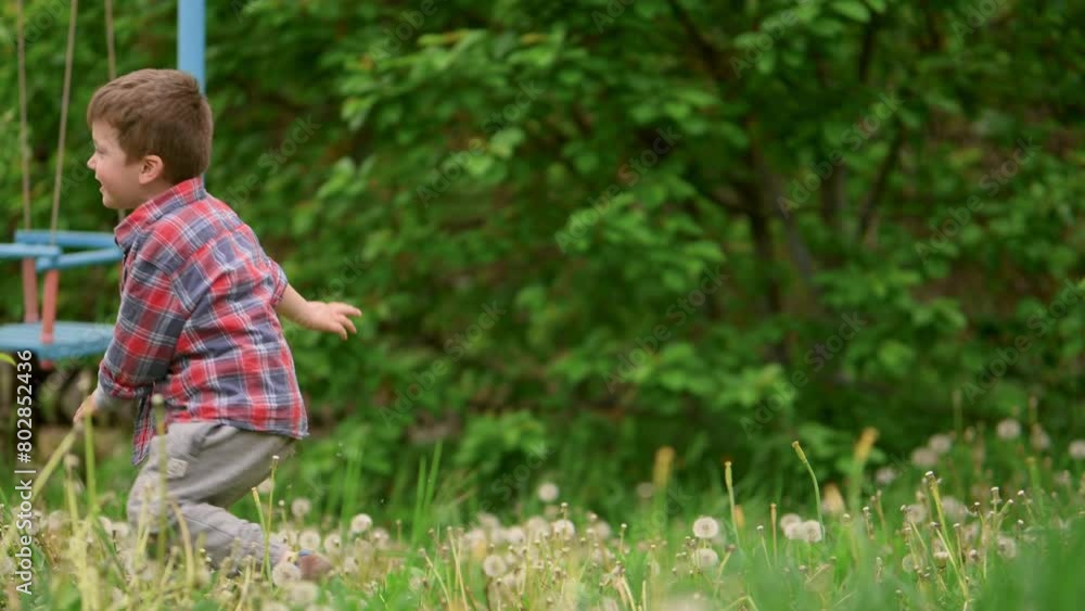 A little 4 year old boy blows on a dandelion in the garden. A child plays in the garden in warm weather. A little 4 year old boy blows on a dandelion in the garden. A child plays in the garden in warm weather.