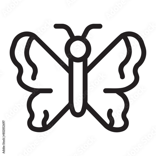 butterfly line icon