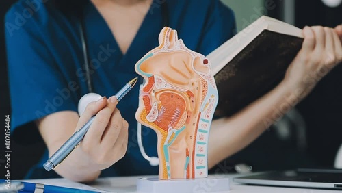 Gynecologist doctor points to model of female reproductive system in clinic photo