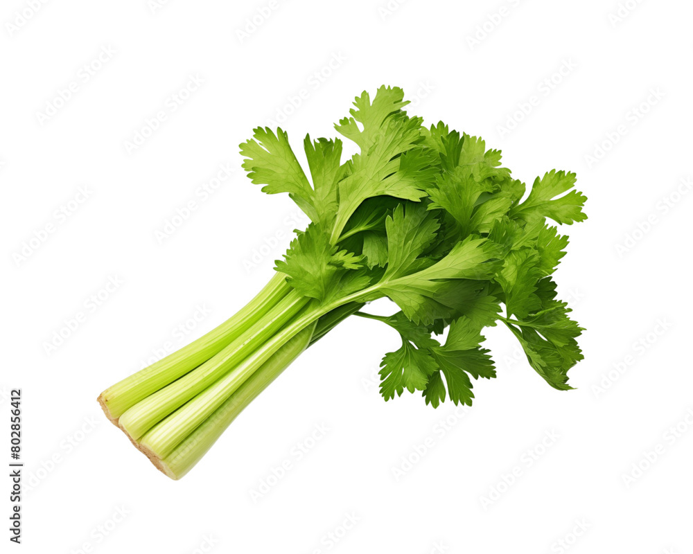 A bunch of fresh green celery stalks with leaves, isolated on a transparent background. Generative AI A bunch of fresh green celery stalks with leaves, isolated on a transparent background. Generative AI