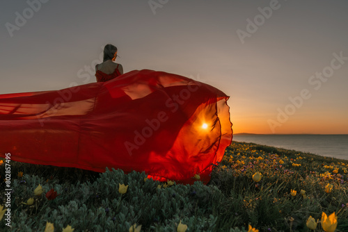 A woman in a red dress is standing in a field with the sun setting behind her. She is reaching up with her arms outstretched, as if she is trying to catch the sun. The scene is serene and peaceful.