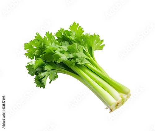 A bunch of fresh green celery stalks with leaves, isolated on a transparent background. Generative AI