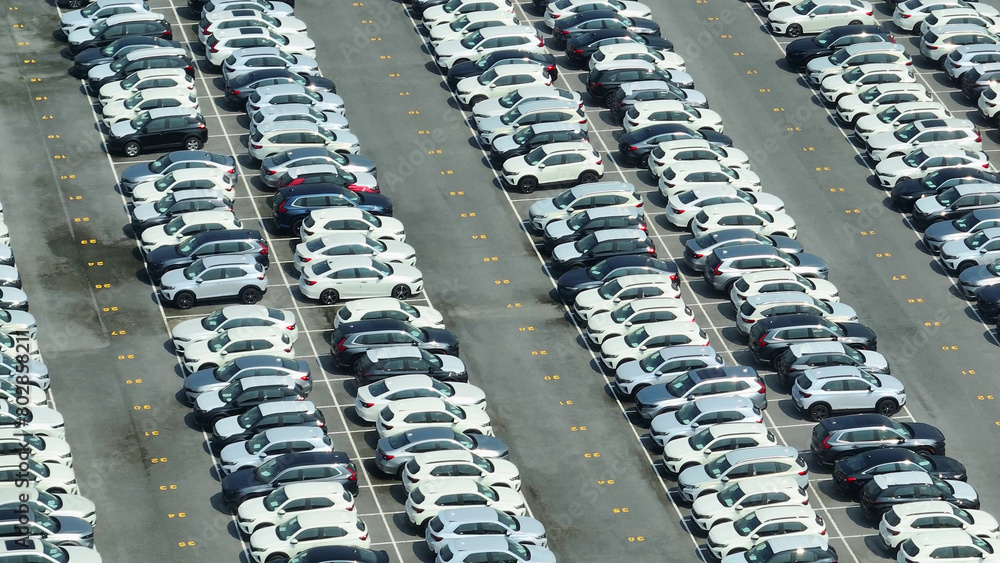 Obraz premium A drone's perspective reveals rows of brand-new cars lined up like soldiers on the asphalt battlefield, ready to conquer the open road. Automotive's dynamic evolution. Import and export business. 
